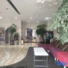 Отель Thank Inn Hotel (Zhoukou Chuanhui District Hongxing Meikailong Branch), фото 7