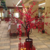 Отель Fengdu International Hotel, фото 27