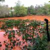 Отель El Pueblito Iguazu, фото 36