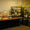 Отель Bourbon Orleans Hotel, фото 15