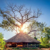 Отель Selous Butembo Tented Lodge Lotus, фото 25