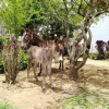 Отель Hostal Nomadas, фото 16