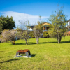 Отель Bungo Beach House Pet Friendly House, фото 25