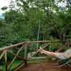 Отель Esquinas Rainforest Lodge, фото 16