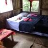 Отель Tree House Bungalow в Порт Олри