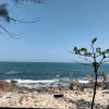 Отель Canary Gold Hotel Quy Nhơn, фото 18