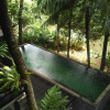 Отель Treetop Waterfall, фото 11