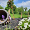 Отель Le Relais du Cheval Blanc, фото 5