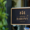 Отель Grand Barony Jinan CBD, фото 1