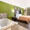 Отель Quality Inn & Suites, фото 4