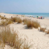 Отель AP Cabanas Beach & Nature - Adults Friendly, фото 21