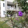 Отель Valmarin Seafront Apartments, фото 10