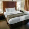 Отель Comfort Suites Fairview Heights, фото 28