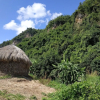 Отель Farmstay at Pha Ma Chiangrai, фото 15