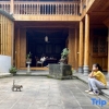 Отель Tengchong Soul Recovery Fuxilou Inn (Yalya Lake Branch), фото 6