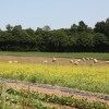 Отель La Ferme de Gorgeat - Chambres d'hôtes, фото 5