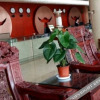 Отель Lincang Airport Tourism Hotel, фото 8