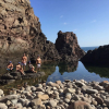 Отель Baja Off the Grid, Luxury Nature Glamping Retreat, фото 30