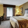 Отель Comfort Inn & Suites Hot Springs Midtown, фото 7
