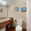 Отель Comfort Inn & Suites, фото 8