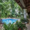 Отель Casa Quetzal, фото 14