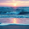 Отель Florihome Beach House, фото 16