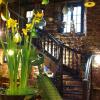 Отель Caveau de lami Fritz, фото 13