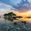 Отель Tropica Gili Hotel, фото 16