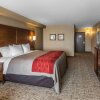 Отель Comfort Inn & Suites Knoxville West, фото 4