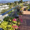Отель Patra s Elevated Paradise With Scenic Roofgarden, фото 17