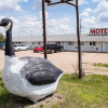 Отель Wild Goose Motel and Campground, фото 12