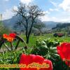 Отель Blumenoase Allgäu, фото 25