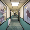 Отель ibis Styles Bordeaux Begles Arena, фото 16