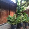 Отель Homestay Anugrah Borobudur 1 & 2, фото 25