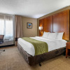 Отель Comfort Inn Romeoville - Bolingbrook, фото 35