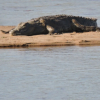 Отель Umvangazi Rest - Enjoy a Relaxing, Rejuvenating and Peaceful Setting in the Bush, фото 11