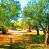 Отель Il Paradiso degli Ulivi, фото 23