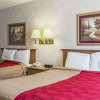 Отель Econo Lodge North, фото 6