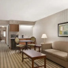 Отель Ramada Wyndham Saginaw Hotel And Suites, фото 10
