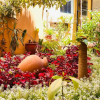Отель Hostal Arequipa Inn, фото 17