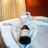 Отель Motel Paradiso Carazinho - Adults Only, фото 2