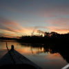 Отель Tambopata Ecolodge, фото 18