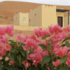 Отель Al Salam Camp, фото 10