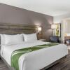 Отель Quality Inn & Suites Amsterdam, фото 28