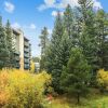 Отель Ge At Breckenridge Chateaux 1023 2 Bedroom Condo by RedAwning, фото 23