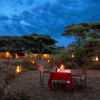 Отель Serengeti Woodlands Camp, фото 3