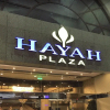 Отель Hayat Plaza Hotel, фото 4