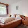 Отель Cozy Apartment near Ski Area in Sautens, фото 5