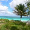 Отель Caicos Beach Condominiums, фото 9