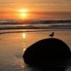 Отель Moeraki Boulders Kiwi Holiday Park, фото 11